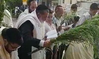 תיעוד: חביטת הערבה של הרב יגאל כהן