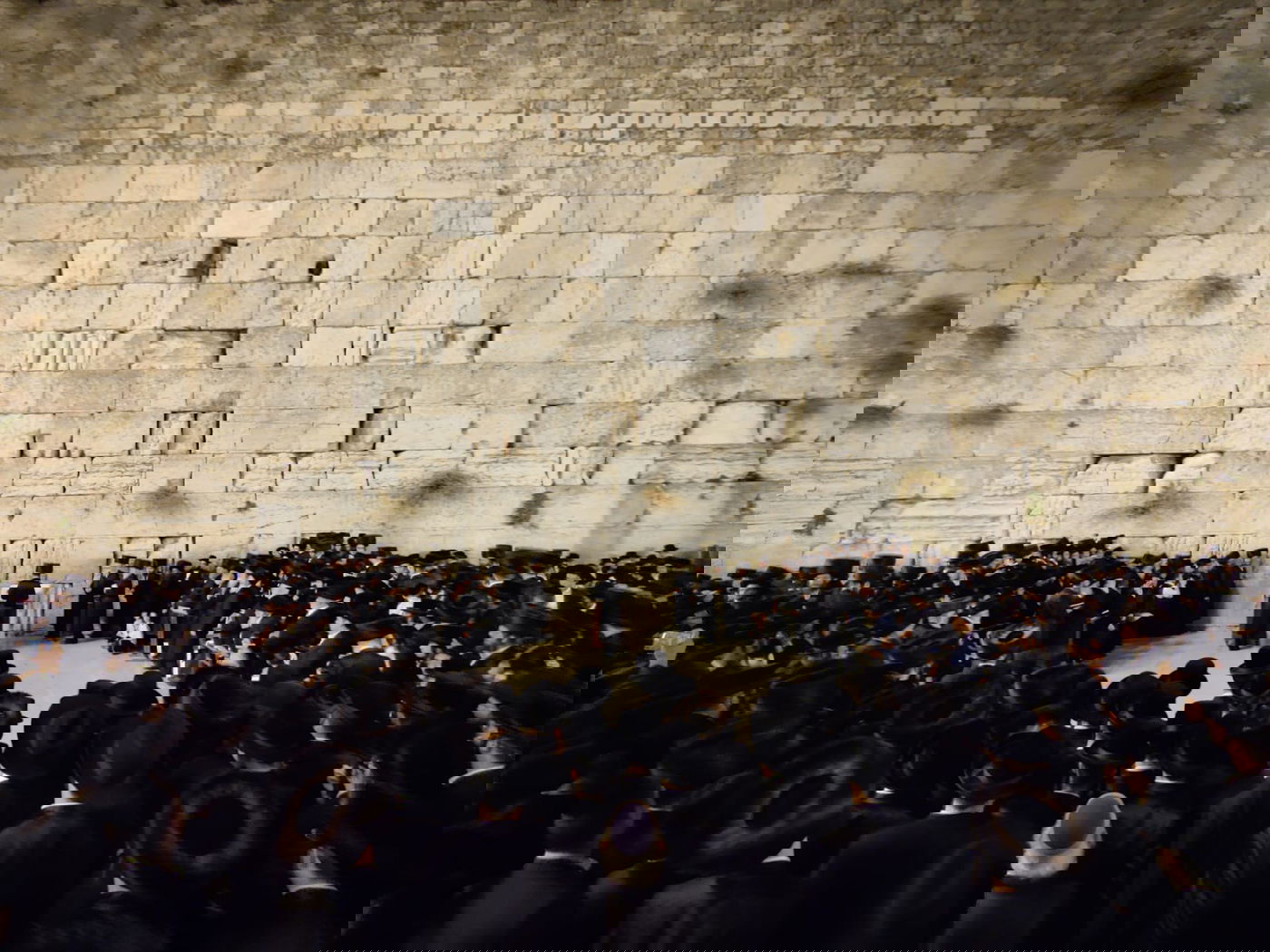 האדמו"ר מסאדיגורה הגיע לתפילה ב'כותל'