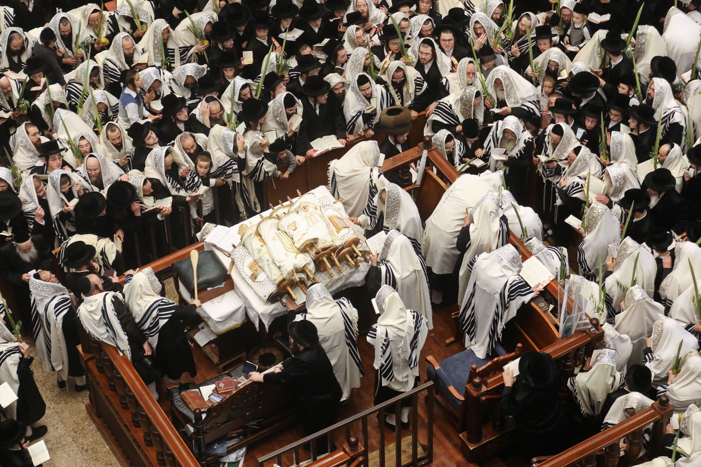 אלפי חסידי בעלזא בשחרית בהושענא רבה