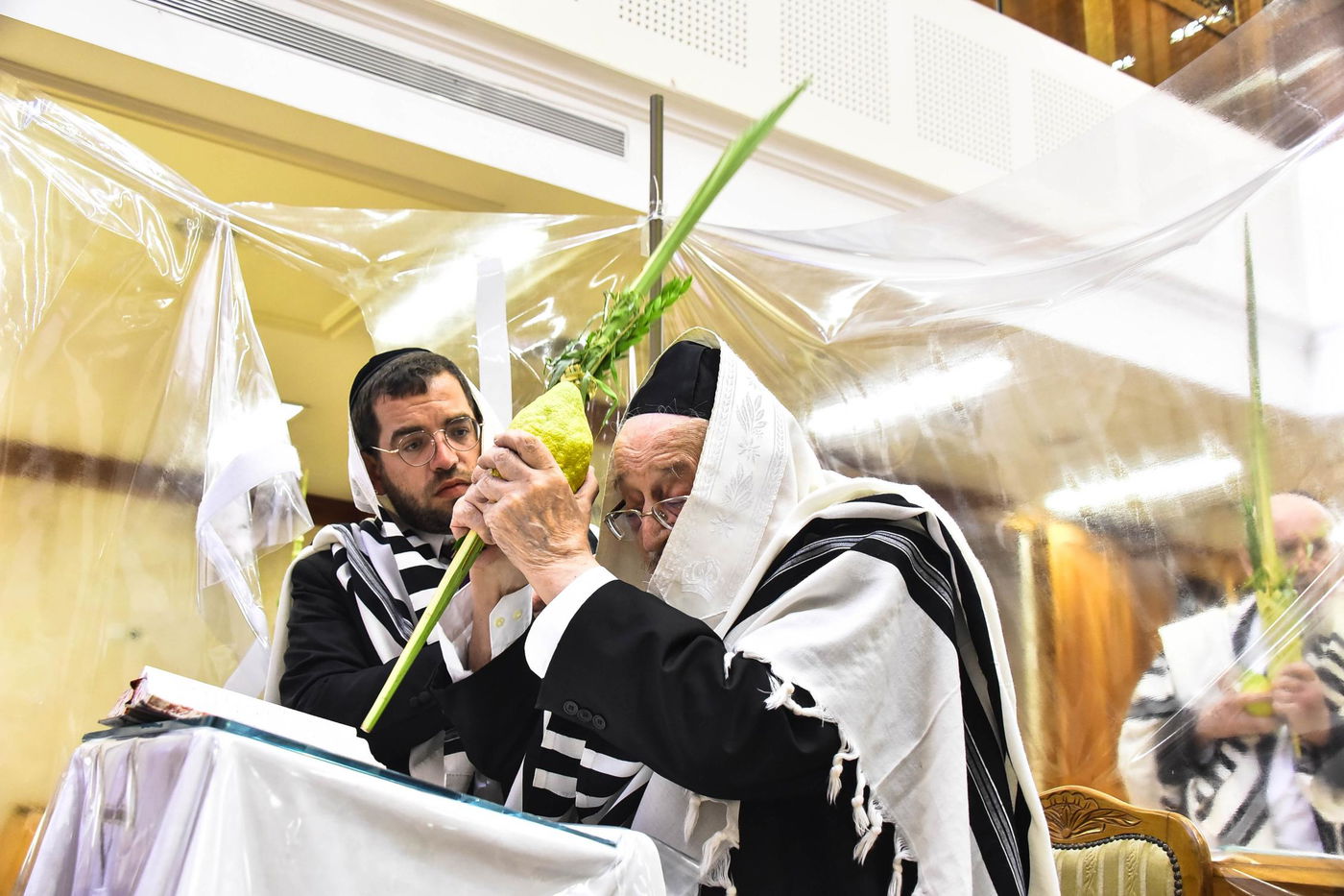 תיעוד: חגי תשרי במחיצתו של חבר 'המועצת', הגרמ"צ ברגמן