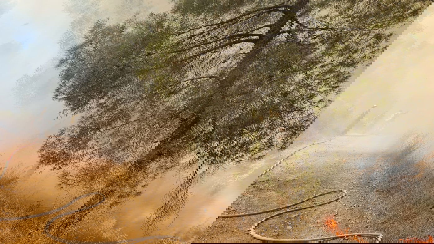 הצתה מכוונת? שריפה פרצה ביער גבעות