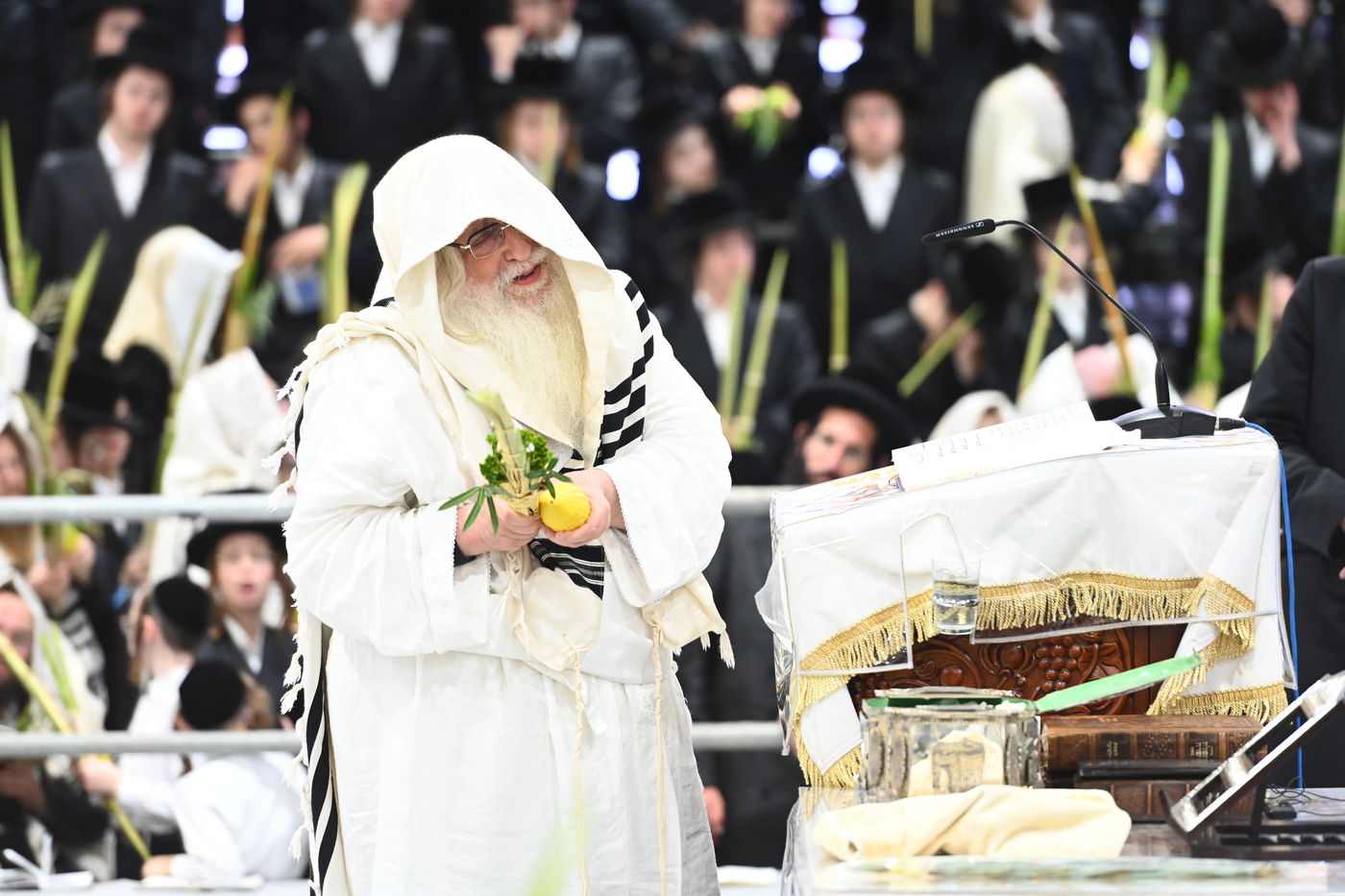 תפילות ו'טישים': מראות חג הסוכות ושמחת תורה בצאנז