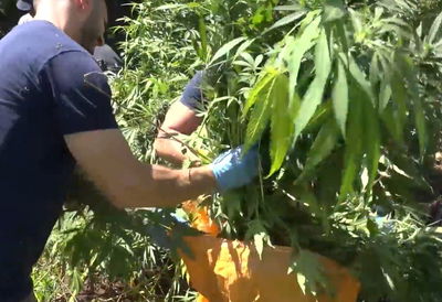 בלשי המשטרה