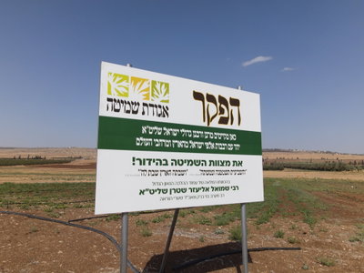 אילוסטרציה