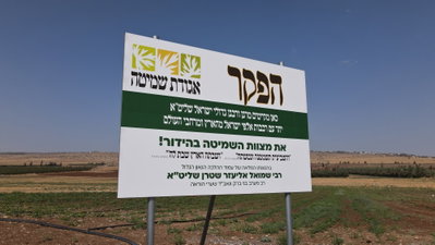 אילוסטרציה