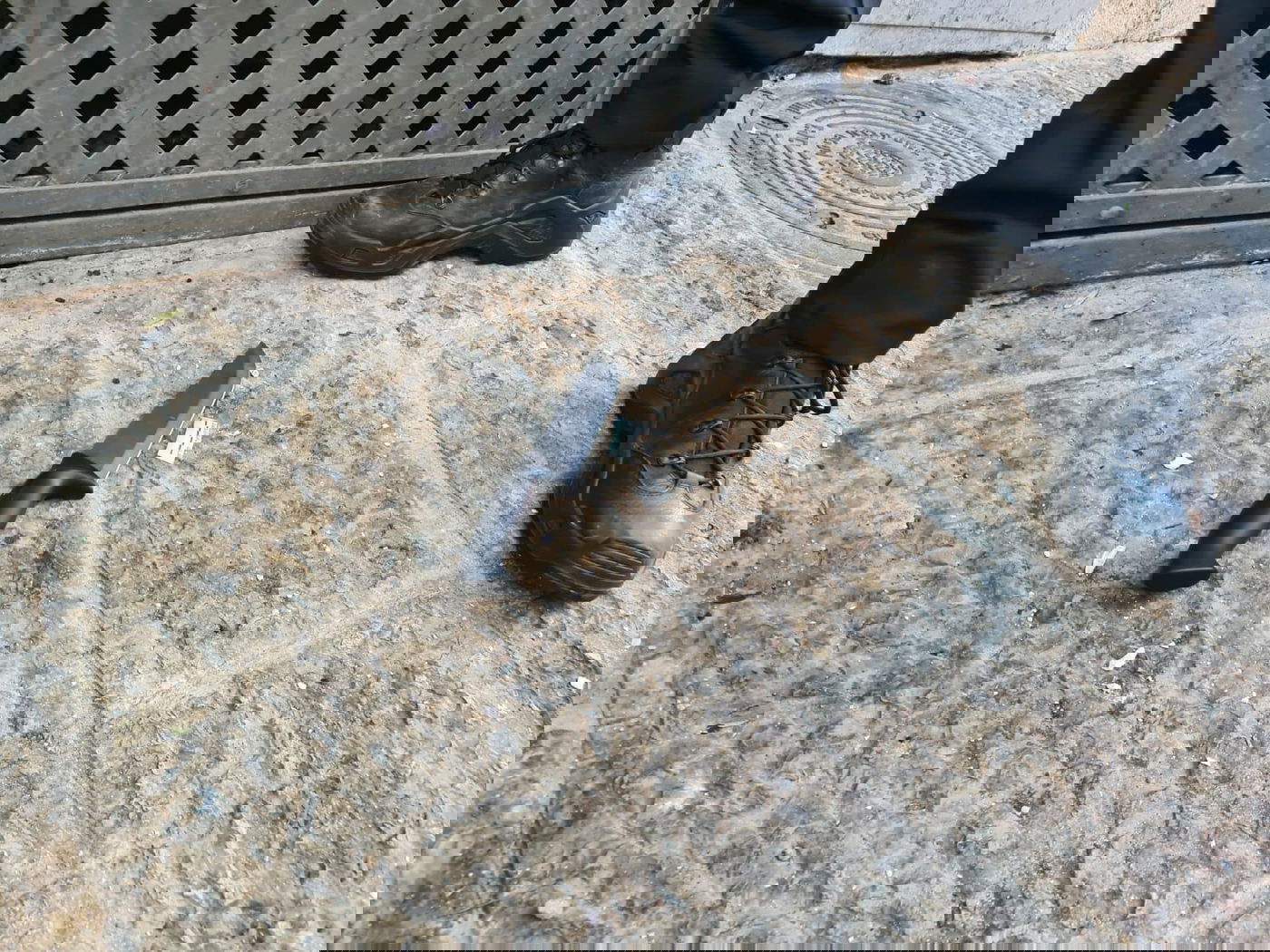 הסכין בזירה, הבוקר