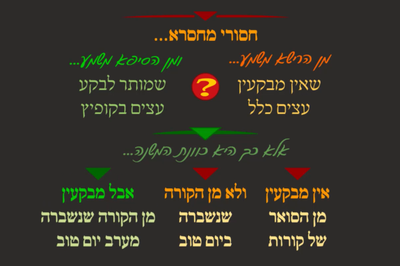 ביצה ל"א • סיכום והמחשה של הדף היומי