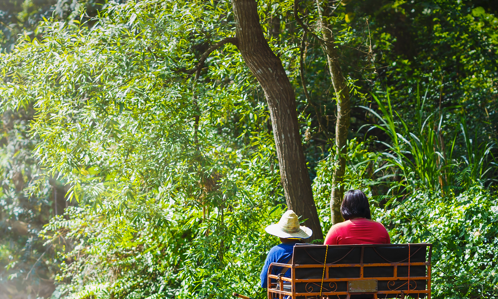 רוכבים על פיל בתאילנד