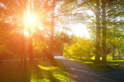 אילוסטרציה