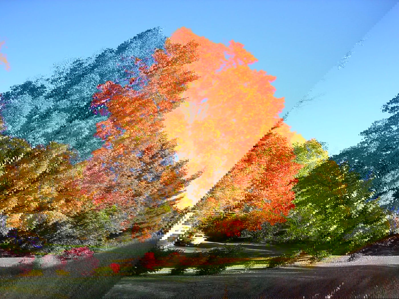 אלו המקומות הכי מרהיבים לטיול בסתיו