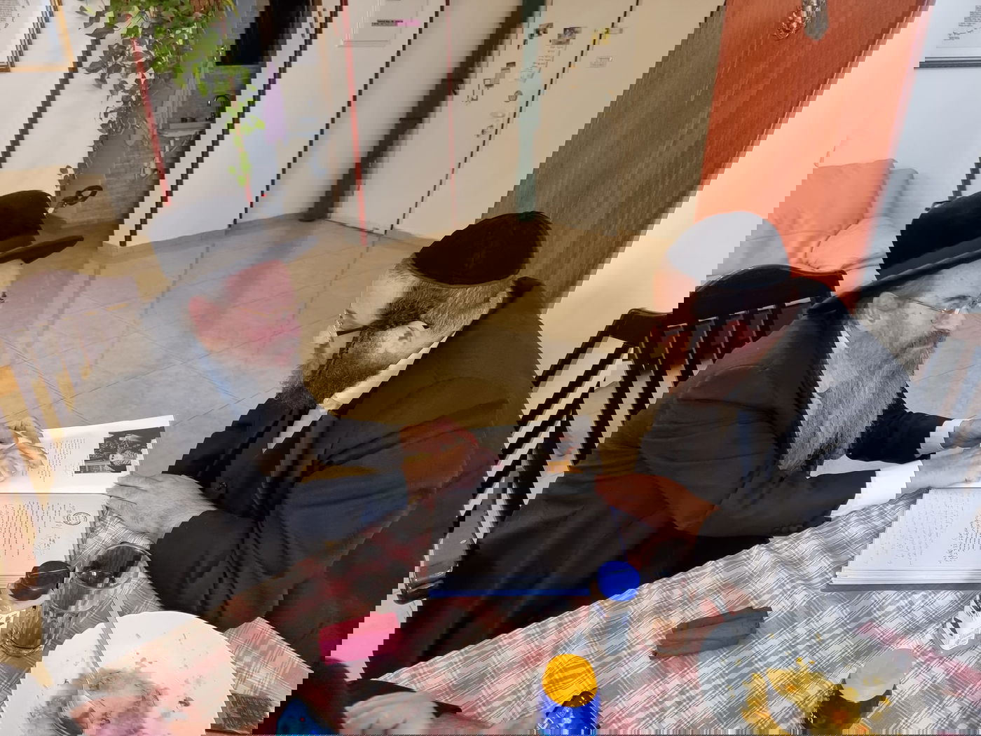 זופניק בכיכר • כל התמונות והנייעס של השבוע