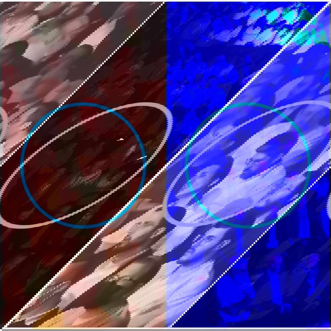 זופניק בכיכר • כל התמונות והנייעס של השבוע