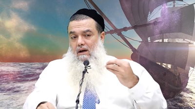 הרב יגאל כהן בוורט לפרשת נח • צפו