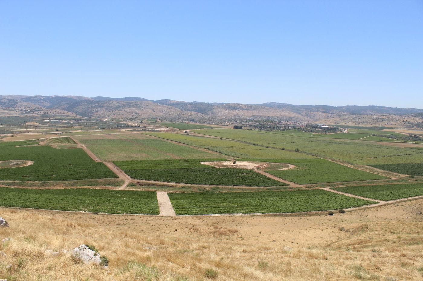 "עמק איילון" בו התרחש 'קרב הטרקטורים' בשב"ק פרשת נח תשכ"ו (1965)