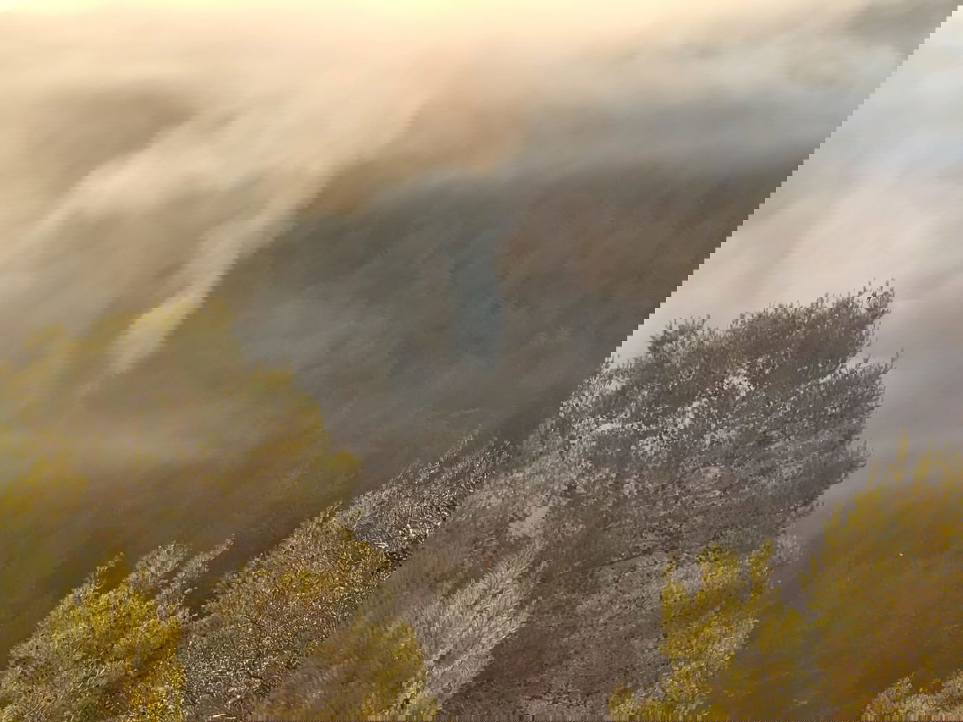המאבק בלהבות הענק ביער בגין נמשך: נמצאו הוכחות להצתה