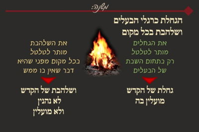 ביצה ל"ט • סיכום והמחשה של הדף היומי