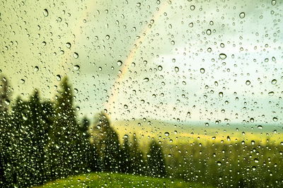 אילוסטרציה