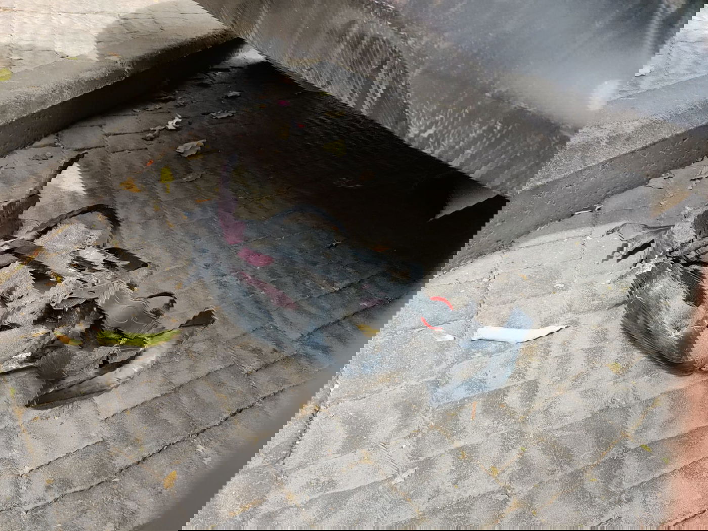 גאולה: מבוגר איבד שליטה על רכבו ופגע ברוכב אופניים