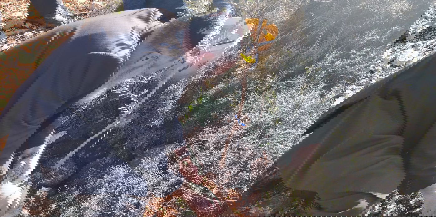 הגרלה, דירה ומצוות שמיטה בפונדק אחד