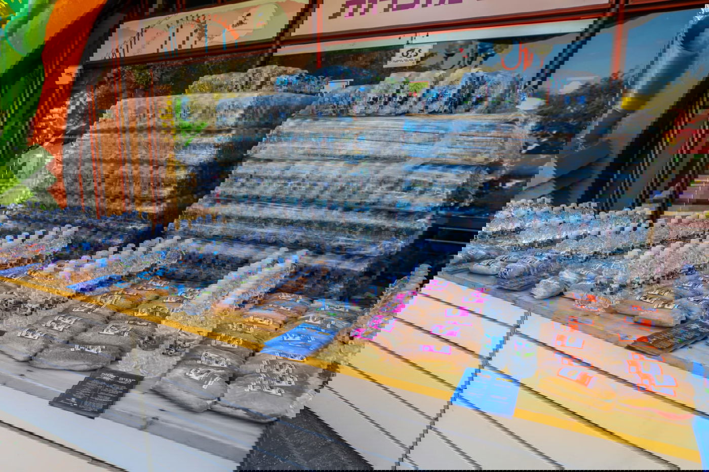 750 בני ובנות מצווה שהתייתמו מהוריהם חגגו