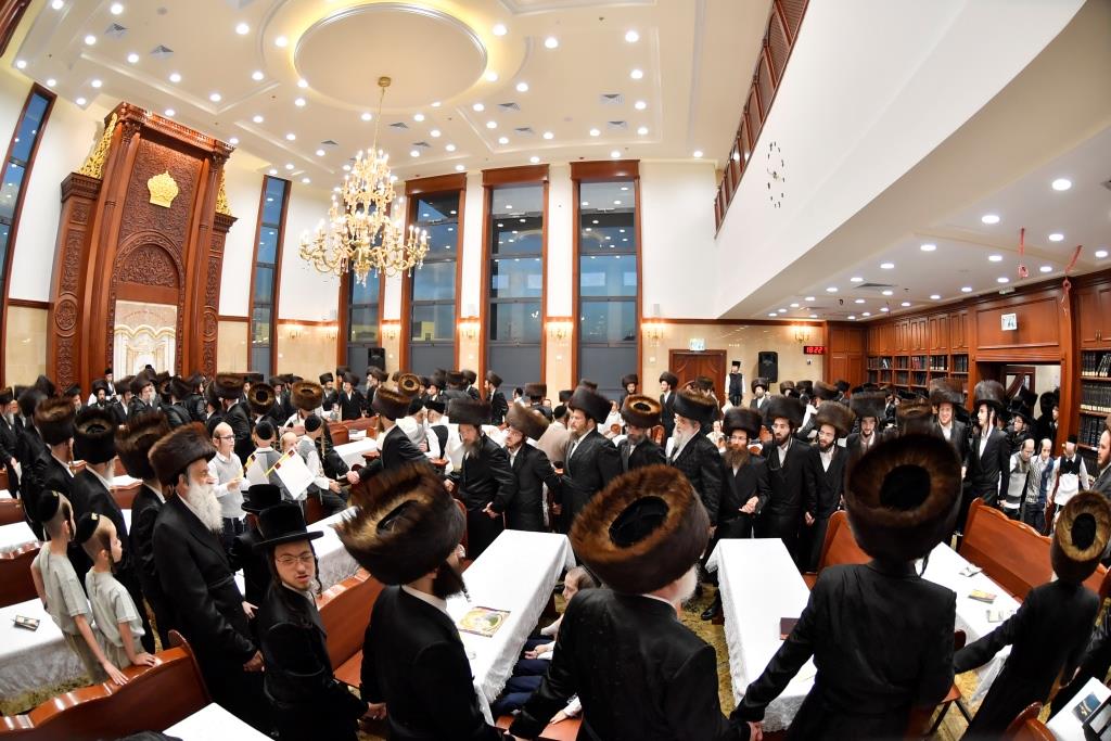 בעלזא באשדוד הכניסו ספר תורה חדש; צפו