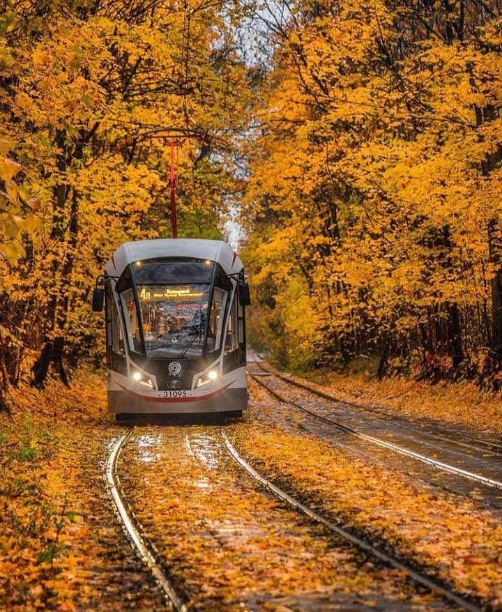 "הסתיו הזהוב" בפארק סקלוניקי • תיעוד מרהיב