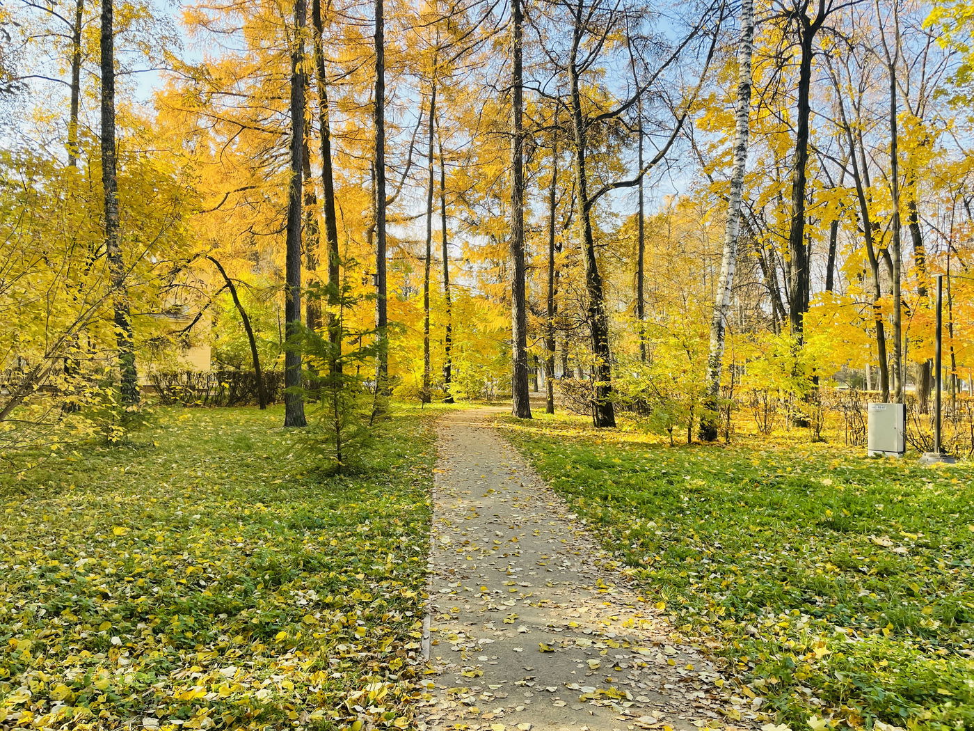 "הסתיו הזהוב" בפארק סקלוניקי • תיעוד מרהיב