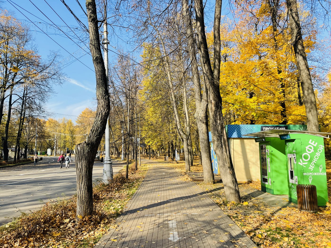 "הסתיו הזהוב" בפארק סקלוניקי • תיעוד מרהיב