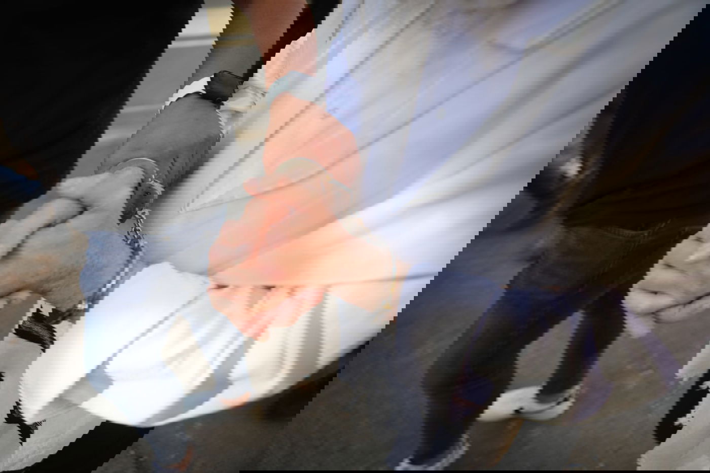 המעצרים בתחילת השבוע