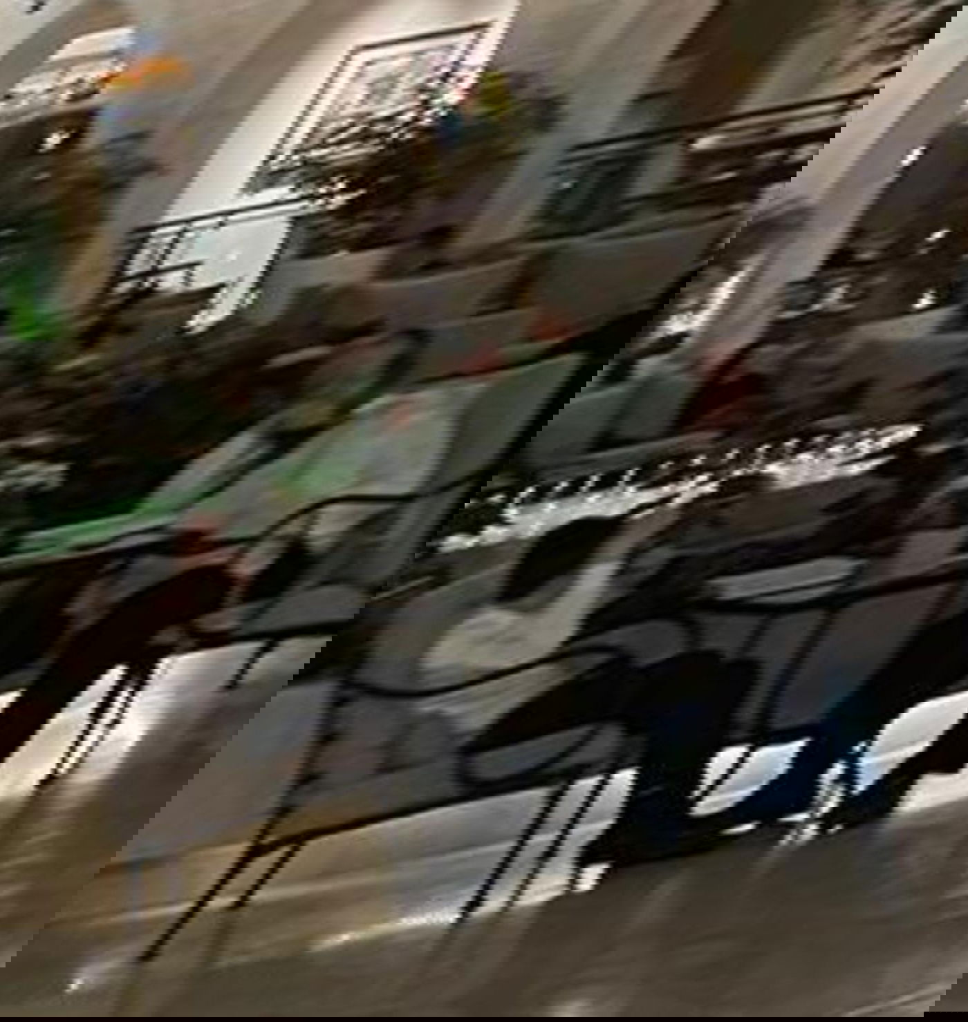 זופניק בכיכר • כל התמונות והנייעס של השבוע