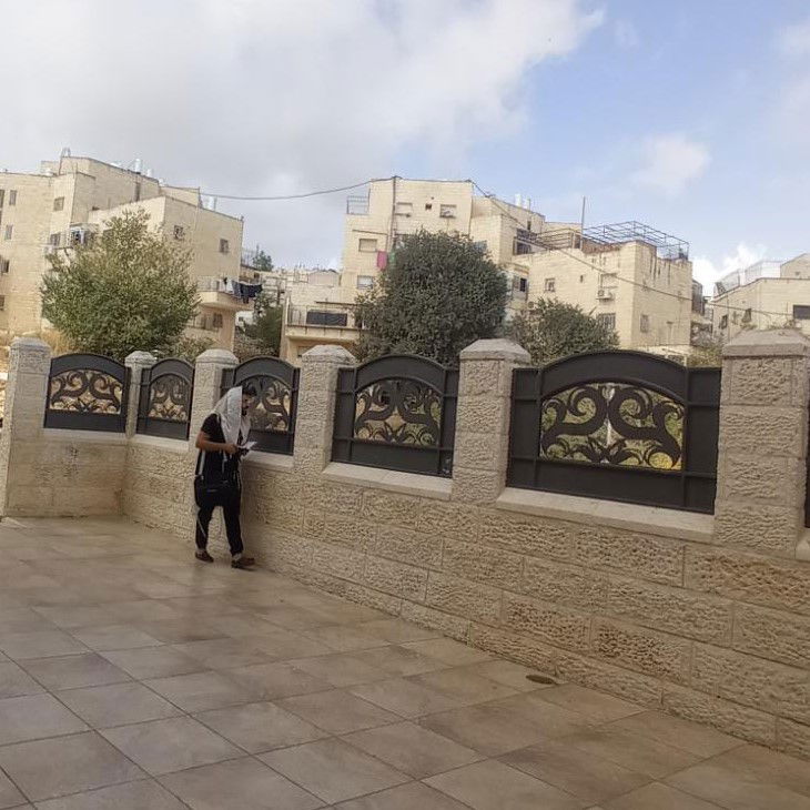 זופניק בכיכר • כל התמונות והנייעס של השבוע