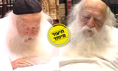 מרן הגר"ח קנייבסקי נשאל: מתי הולכים אחר רוב הפוסקים?