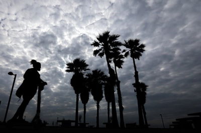 אילוסטרציה