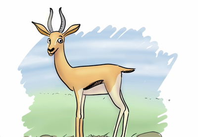 לומדים לצייר צבי ונהנים: תכנית לילדים. צפו