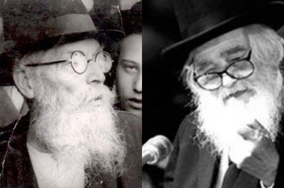 החזון איש ומרן הרב שך זצוק"ל