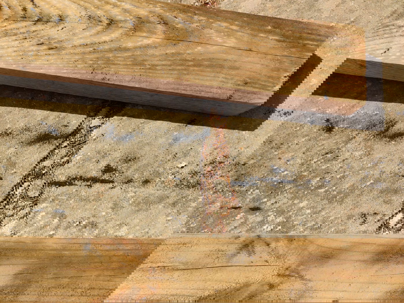 הר המנוחות: אלמונים ניתצו מצבות בלילה