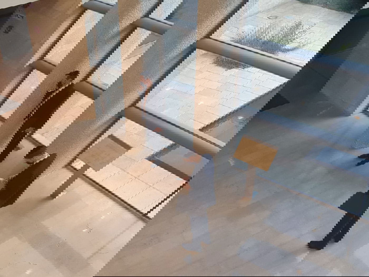 זופניק בכיכר • כל התמונות והנייעס של השבוע