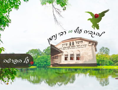 איך לא 'להתרסק' מביזיונות  ולקטוף ישועות?