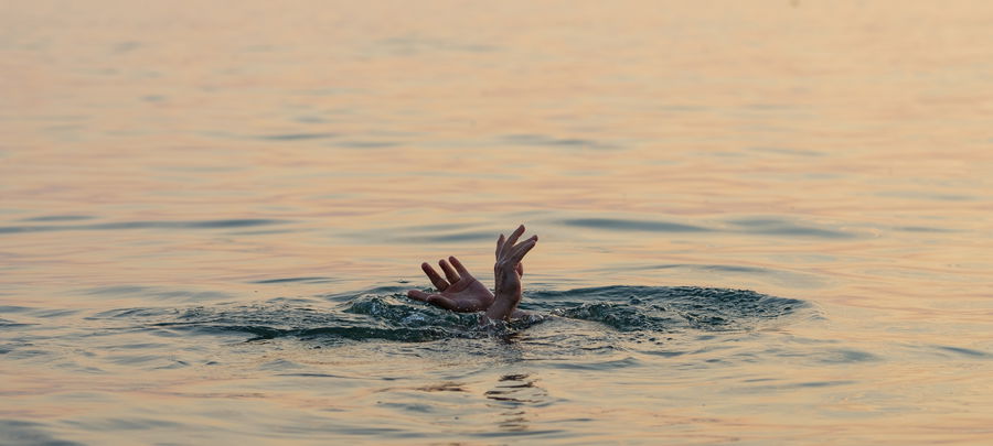 פחד לטבוע. אילוסטרציה