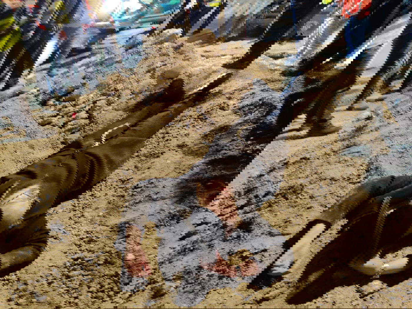 הקיצונים מפגינים שוב ב'בר אילן': 4 נעצרו