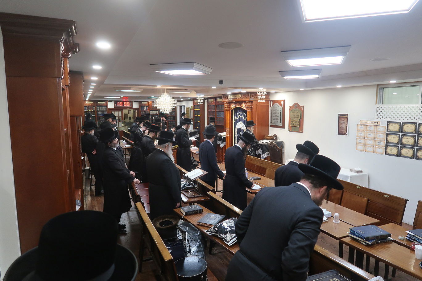 החסידים התרגשו: האדמו"ר מסערט ויז'ניץ בביקור בארה"ב