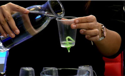 כוס קסמים, אי אפשר למלא אותה: כך תכינו