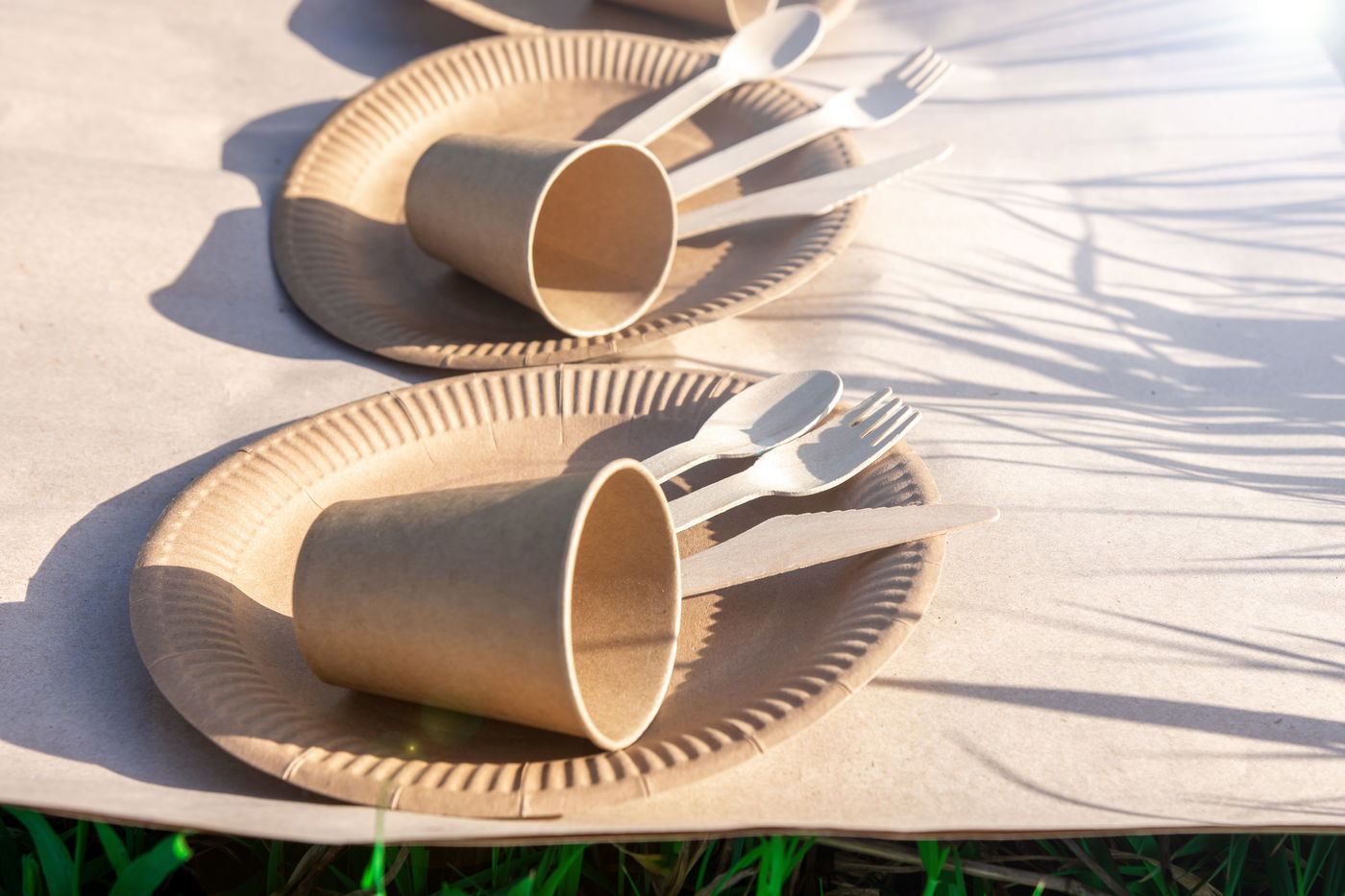 הרבנים שמתירים שימוש בחד-פעמי בשבת