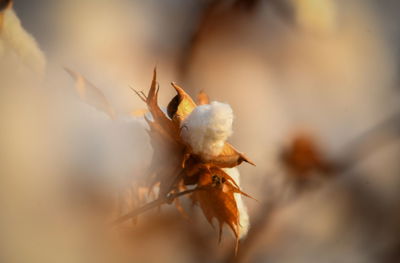 עלייה בטמפרטורות • בסופ"ש; חם מהרגיל