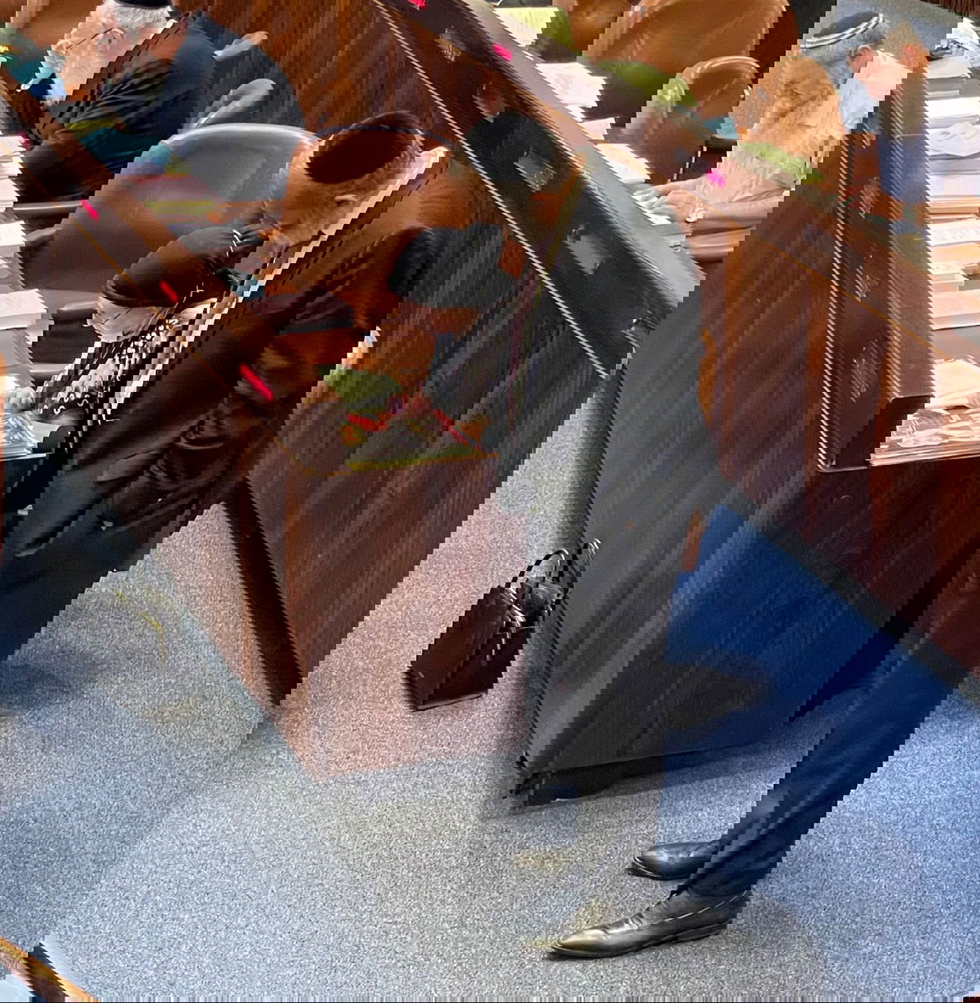 זופניק בכיכר • כל התמונות והנייעס של השבוע