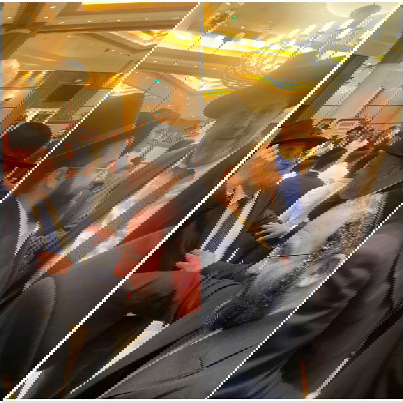 זופניק בכיכר • כל התמונות והנייעס של השבוע