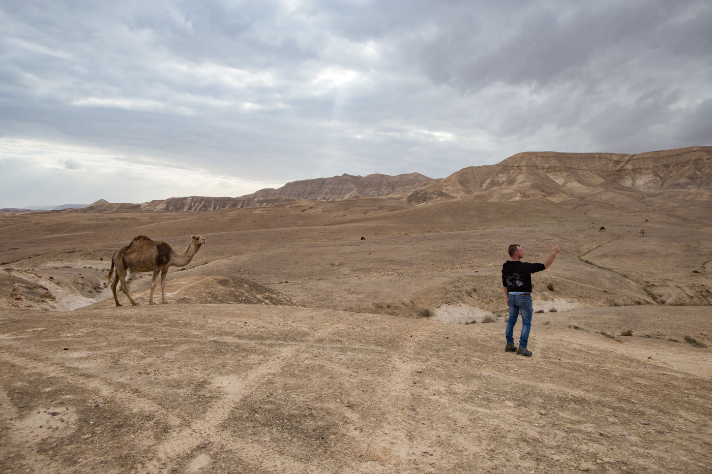 סלפי עם גמל
