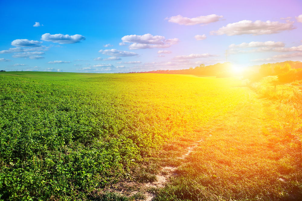 מזג אוויר נאה