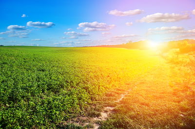 מזג אוויר נאה