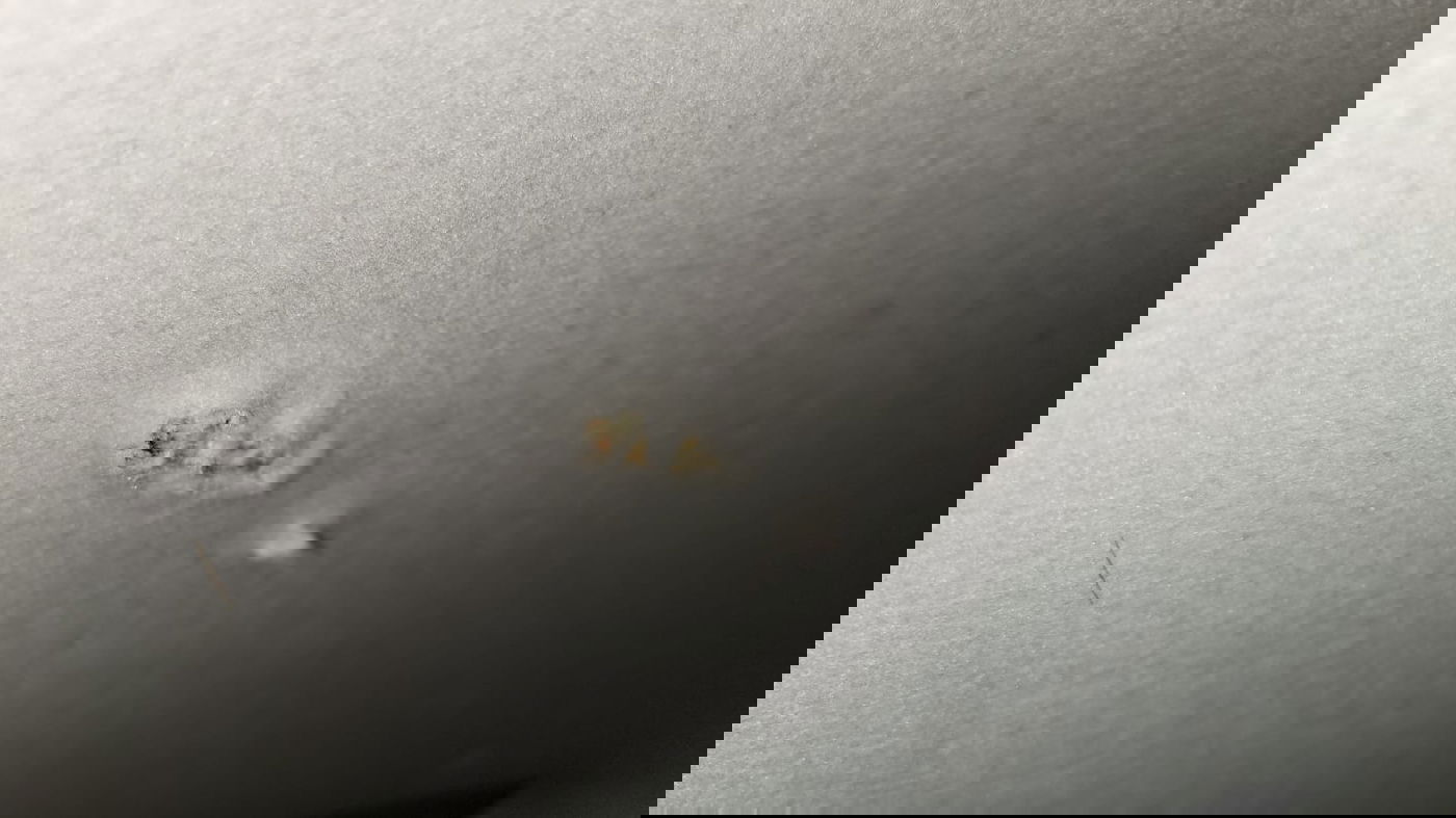 הוארך מעצרם של 3 החשודים בירי ברמות